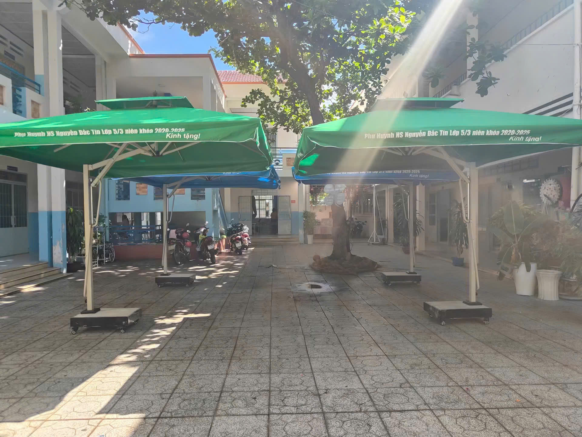 Dù vuông 3x3m màu xanh lá, giao hàng lắp đặt trực tiếp Trảng Bom, Đồng Nai